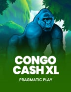 Hip Hop Panda ทดลองเล่นฟรี